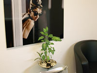 Empfangsbereich Ruhezone